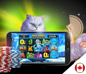 slots-bonuses/golden-tiger-casino-review